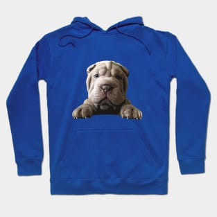 Shar Pei Cute Puppy Dog Hoodie